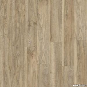 English Walnut 20226