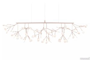 Heracleum III Linear 