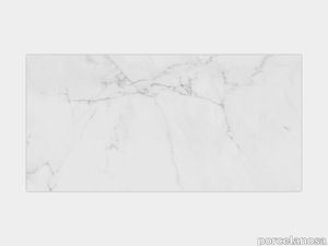 Carrara Blanco Natural 23"X47"