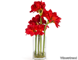 ETERNITY AMARYLLIS RADISH - Floral composition with glass vase _ VGnewtrend