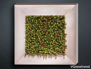 SEDUM - Vegetal frame _ VGnewtrend