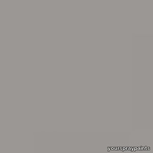 RAL 7036 Platinum Grey Aerosol Spray Paint 1K/2K 400ml