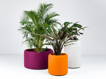 BuzziPlanter-BuzziSpace-462448-rel270304c7.jpg
