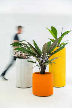 BuzziPlanter-BuzziSpace-462448-rel9ed4a738.jpg