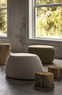 FUJI-Felis-275933-relca2a361c.jpg