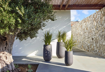 CURVO-Jardinico-573501-rel5e73ac14.jpg
