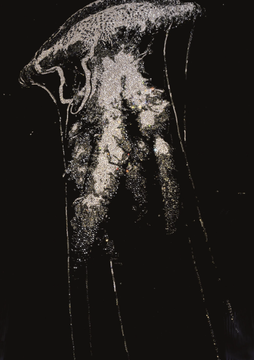 not-just-urticant-longhi-482991-relca96771d.jpg