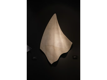 MARGRAF_VELATA-DRAPES_BiXyVLZ1Ch.jpeg
