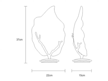 OUTONO-HAMAMELIS-Serip-459460-dim786f2f24.jpg