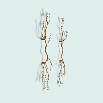 pando-serip-369291-rel63836172.jpg