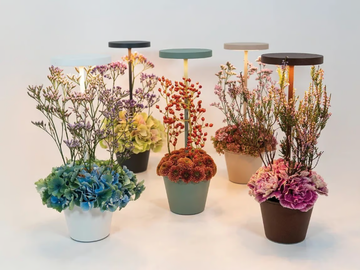 POLDINA-REVERSO-Zafferano-Lampes-à-porter-623098-relb2b1bfc7.jpg