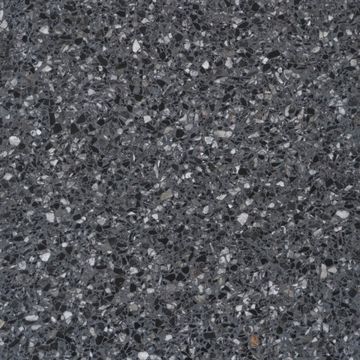 80.20-CARAN-scaled.jpg