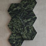 Honey-print-moss.jpeg