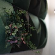 slicepanel_plantpanel_slice.jpeg