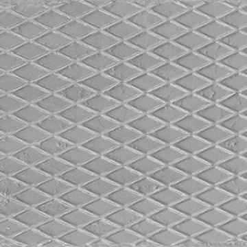 glimpse-silver-plate-496-square.jpg