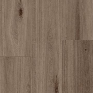 ASP03_Umber.jpg