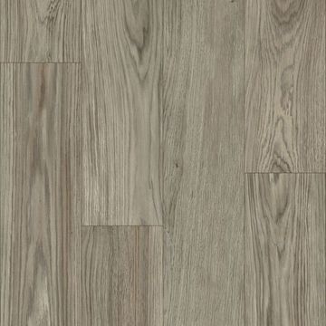 ASP05_EmelineGrey.jpg