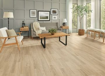 ASP15_SpiceGold-ROOM-1.jpg