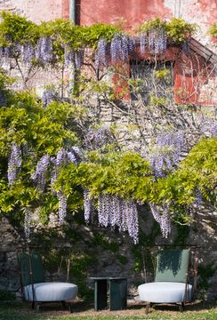 DSC_7163_R.jpg