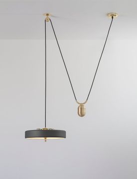 acf.Left_Revolve_Pendant_RiseFall.jpg