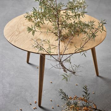 bruunmunch_furniture_PLAYround_Coffee_Table_Oak_NaturalOil.jpg?v=1696051031