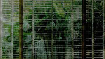 BEYOND-Creativespace-545720-reld785c202.jpg