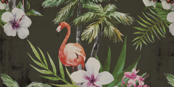 FLA-CREATIVESPACE-327327-rel701db57d.jpg