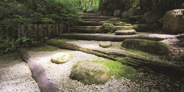 GREEN-CREATIVESPACE-298533-rel23f8ee35.jpg