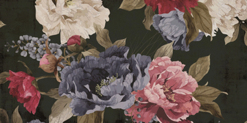 MACRO-CREATIVESPACE-327328-rel443ab279.jpg
