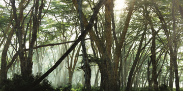 NAT-CREATIVESPACE-327325-relfb758c0b.jpg