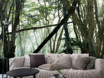 NAT-Creativespace-327325-rel8fa2ae48.jpg