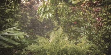 RAIN-CREATIVESPACE-327347-rel13c3358d.jpg