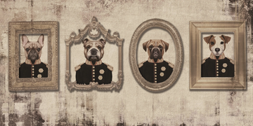 RUDOLF-CREATIVESPACE-327349-relcd713fb2.jpg