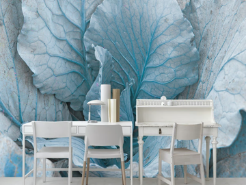 TEAL-Creativespace-327350-rel9d248022.jpg