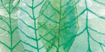WCOLOR-CREATIVESPACE-327352-rel719ca7ee.jpg