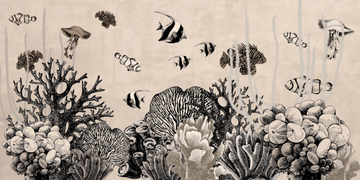 ariel-creativespace-602157-rel9ec23cb4.jpg