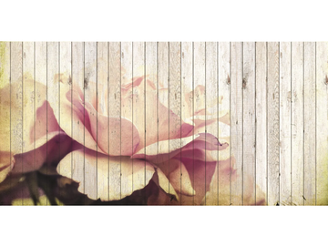 flower-creativespace-255523-relb4e4c6b3.jpg