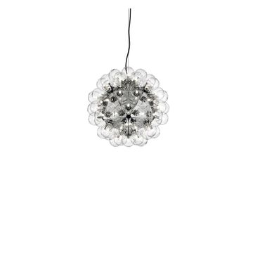 Taraxacum 88 Suspension 1