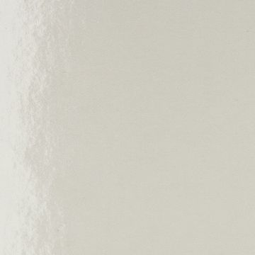 1065-Extrema-Silver.jpg