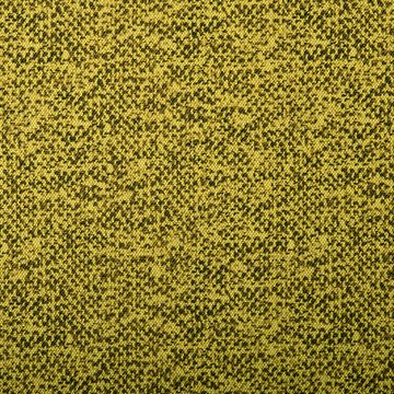 6045_Stretchy_204011.jpg