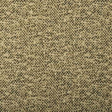 607_Stretchy_204011.jpg
