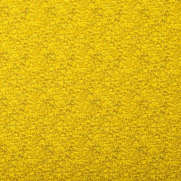 6142_Stretchy_204012.jpg