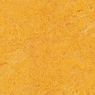 marmoleum decibel dandelion