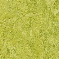 marmoleum decibel chartreuse