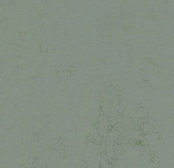 251229_375135.webp
