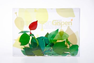 landscapem-Leaves.jpg