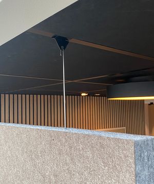 P_Pendula_narbild_2.jpg