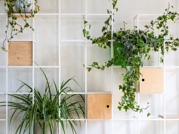 IPOT-Garden-partition-iPot-583040-relb31c857a.jpg