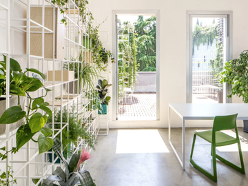 garden-partition-supercake-583040-relb561923c.jpg