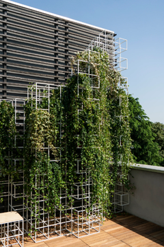 garden-partition-supercake-583041-rele2c4ab2.jpg